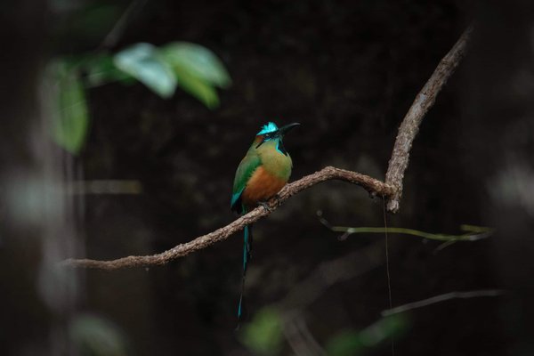 Peut-on associer des bijoux en acrylique avec des tenues formelles?